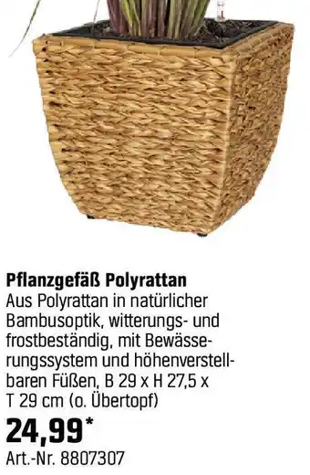 OBI Pflanzgefäß Polyrattan Angebot