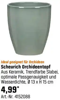 OBI Scheurich Orchideentopf Angebot