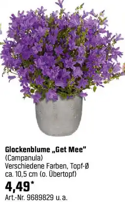OBI Glockenblume Get Mee Angebot