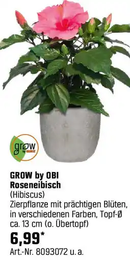 OBI Roseneibisch Angebot