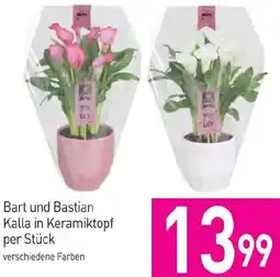 Sutterlüty Bart und Bastian Kalla in Keramiktopf Angebot