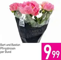 Sutterlüty Bart und Bastian Pfingstrosen Angebot