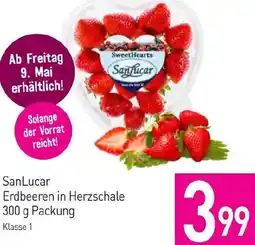Sutterlüty Erdbeeren Angebot
