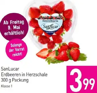 Sutterlüty Erdbeeren Angebot