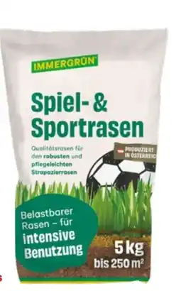 Lagerhaus Immergrün Rasensamen Spiel und Sport Angebot