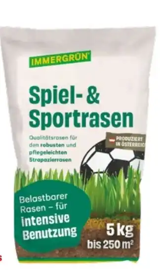 Lagerhaus Immergrün Rasensamen Spiel und Sport Angebot