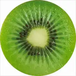 Möbelix Luca Bessoni Sitzkissen Fruits Angebot
