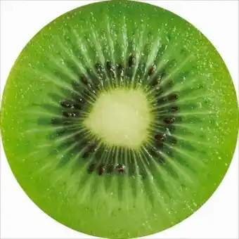 Möbelix Luca Bessoni Sitzkissen Fruits Angebot