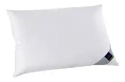 XXXLutz Billerbeck 3-Kammer-Polster Nena Angebot