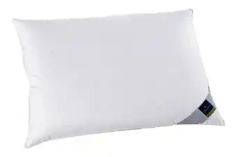 XXXLutz Billerbeck 3-Kammer-Polster Nena Angebot