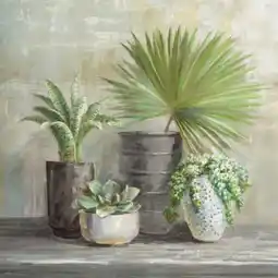 XXXLutz Keilrahmenbild Indoor Garden Angebot