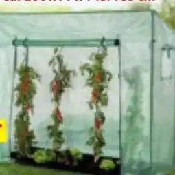 Norma HC Garten & Freizeit Tomaten-Gewächshaus Angebot