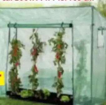 Norma HC Garten & Freizeit Tomaten-Gewächshaus Angebot