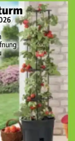 Norma Powertec Garden Tomatenturm Angebot