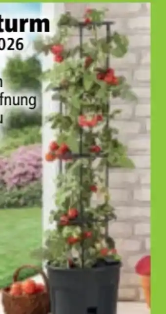 Norma Powertec Garden Tomatenturm Angebot