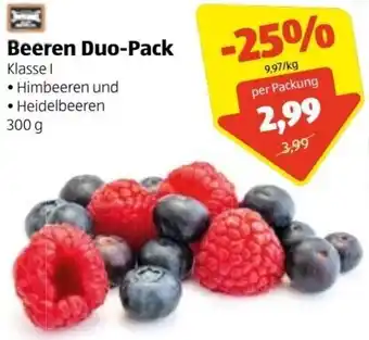 Hofer Beeren Duo Pack 300 g Angebot