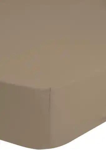 Mömax Spannleintuch Jersey ca. 140x200cm Angebot