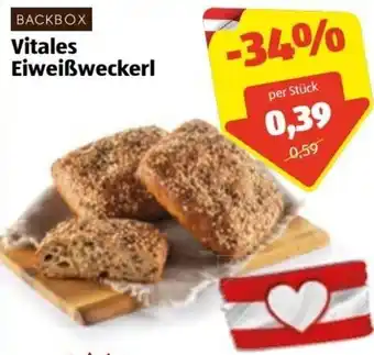 Hofer Backbox Vitales Eiweißweckerl Angebot