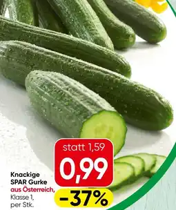 Spar Knackige Gurke Angebot