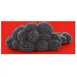 Hofer Brombeeren HOFER Angebot