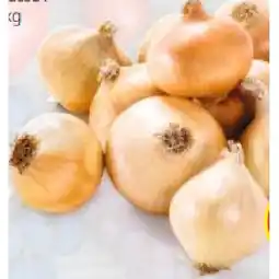 Hofer Bio-Zwiebeln Gelb HOFER Angebot