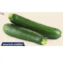 Hofer Zucchini HOFER Angebot