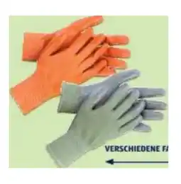 Hofer Damen-/Herren-Garten-Handschuhe, Doppelpkg. HOFER Angebot