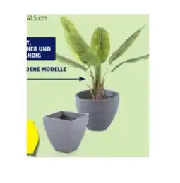 Hofer Rillen-Pflanztopf aus Kunststoff, Klein versch. Modelle HOFER Angebot
