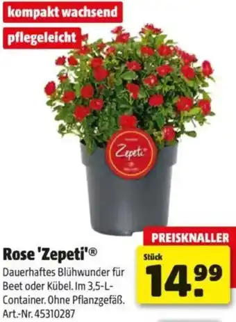 Hagebau Rose Zepeti Angebot