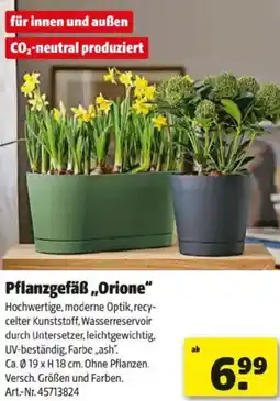 Hagebau Pflanzgefäß Orione Angebot