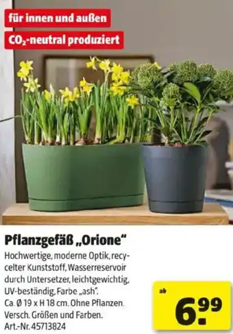 Hagebau Pflanzgefäß Orione Angebot