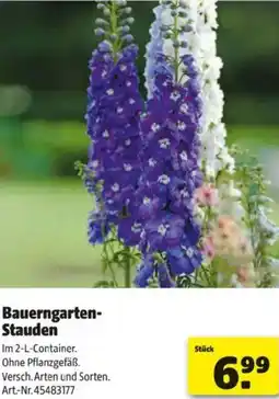 Hagebau Bauerngarten- Stauden Angebot