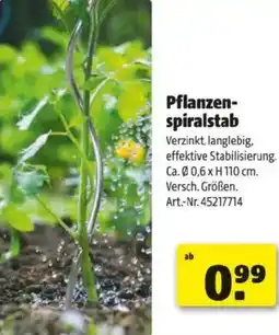 Hagebau Pflanzen- spiralstab Angebot