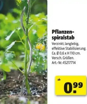 Hagebau Pflanzen- spiralstab Angebot