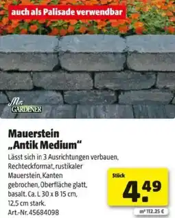 Hagebau Mauerstein Antik Medium Angebot