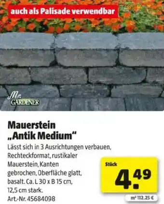 Hagebau Mauerstein Antik Medium Angebot
