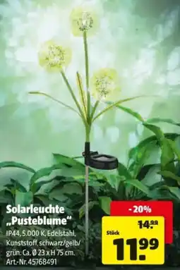 Hagebau Solarleuchte Pusteblume Angebot