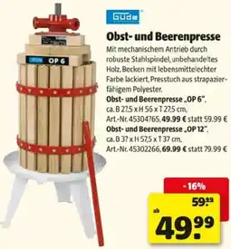 Hagebau Obst- und Beerenpresse Angebot