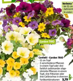 Bauhaus Confetti - Garden TRIO Angebot