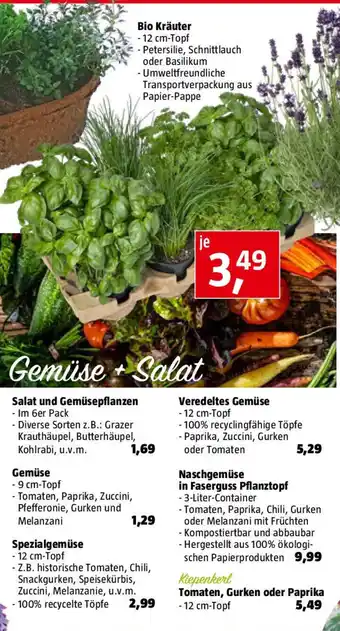 Bauhaus Tomaten, Gurken oder Paprika Angebot