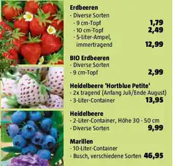 Bauhaus Marillen Angebot