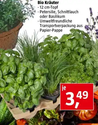 Bauhaus Bio Kräuter Angebot