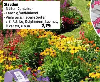 Bauhaus Stauden Angebot