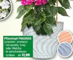 Bauhaus Pflanztopf PIACENZA Angebot