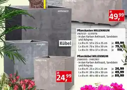 Bauhaus SANDSTEIN Angebot