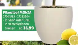 Bauhaus Pflanztopf MONZA Angebot