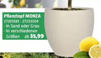 Bauhaus Pflanztopf MONZA Angebot