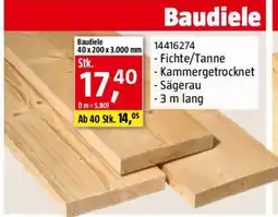 Bauhaus Baudiele Angebot
