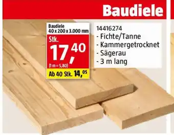 Bauhaus Baudiele Angebot