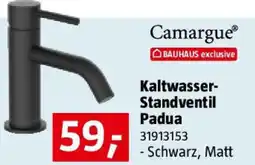 Bauhaus Kaltwasser- Standventil Padua Angebot